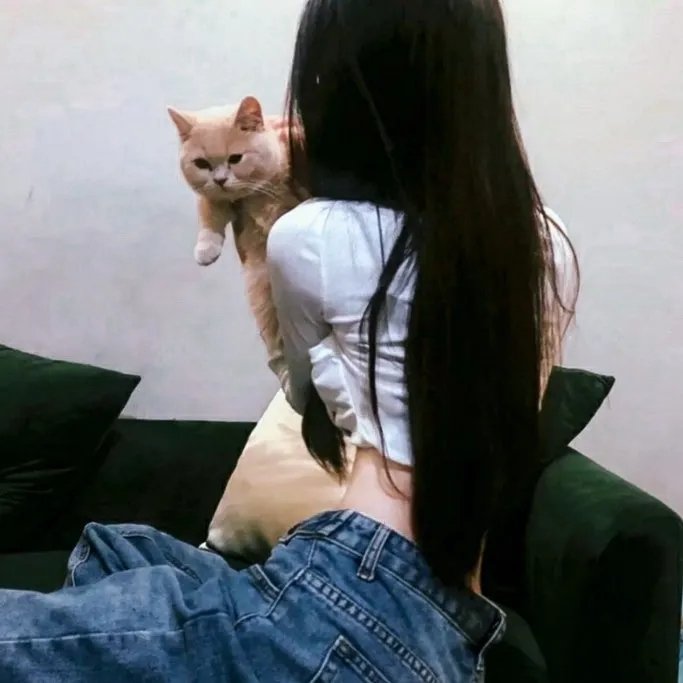 千谎百计第三季